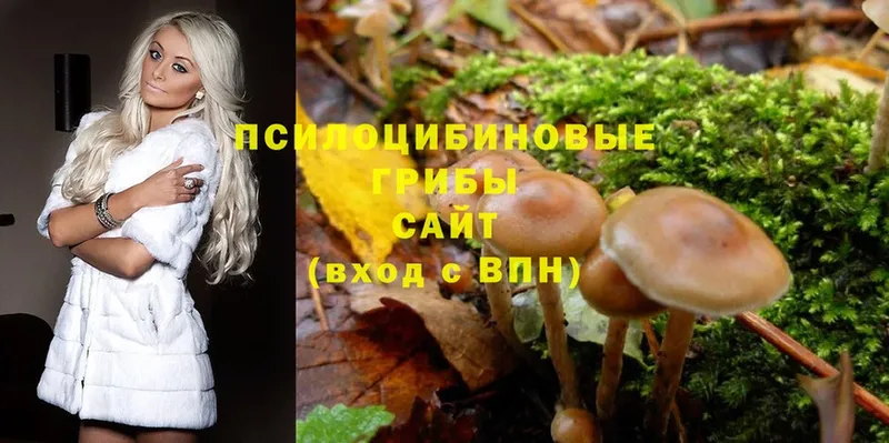 ссылка на мегу ТОР  Сорск  Псилоцибиновые грибы Magic Shrooms 